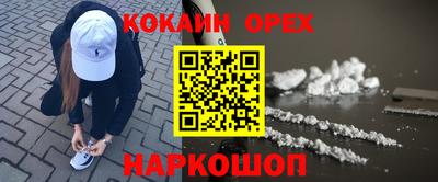 крисы Лесосибирск