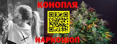 крисы Лесосибирск