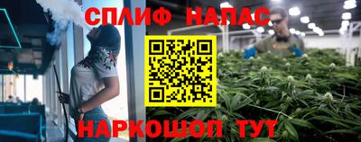 крисы Лесосибирск