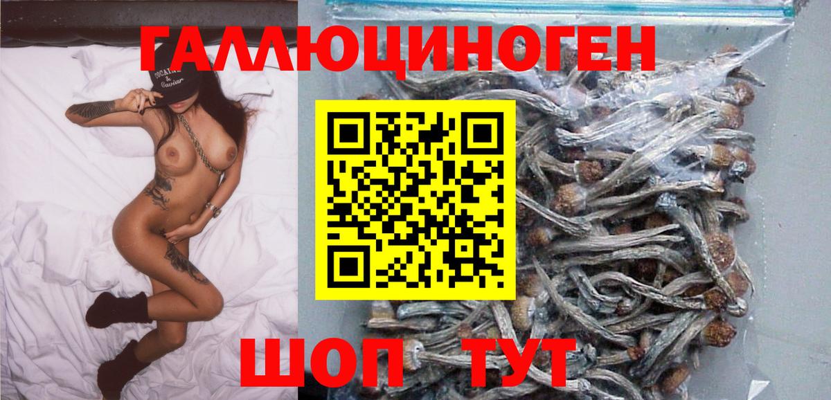 Еманжелинск  Псилоцибиновые грибы GOLDEN TEACHER  Вход с VPN 