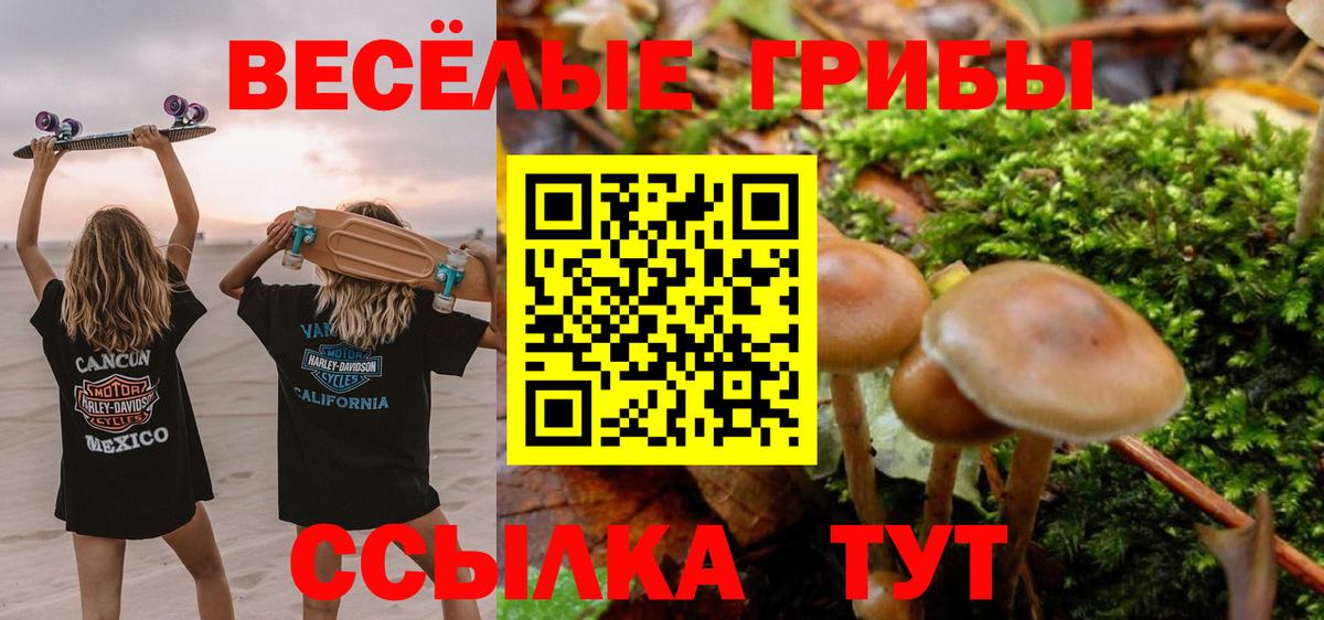 Псилоцибиновые грибы Cubensis Еманжелинск