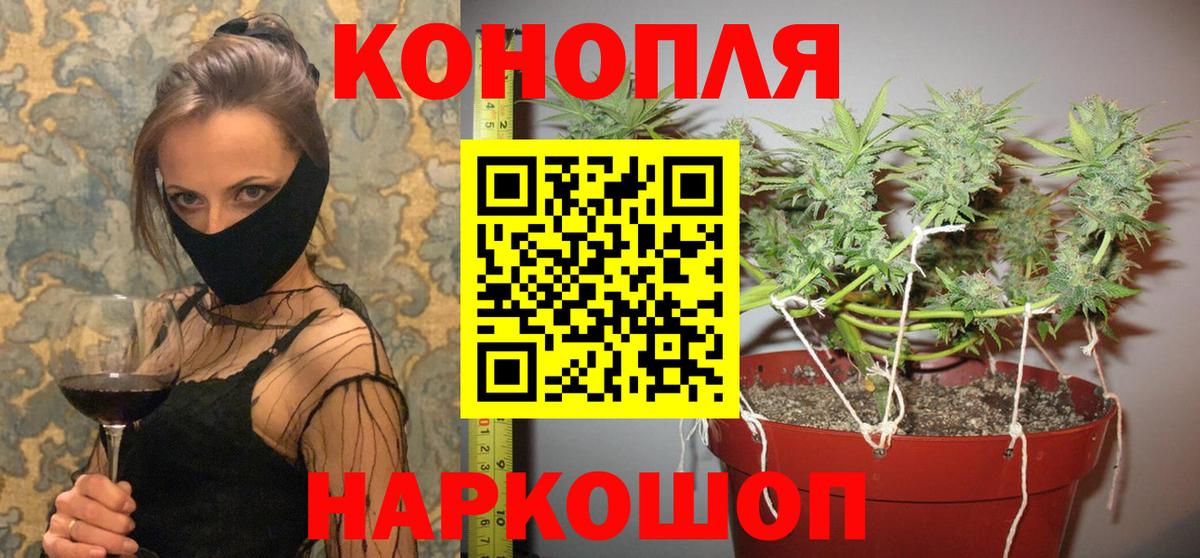 Шишки марихуана Amnesia Еманжелинск